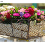 ziv_roses-5