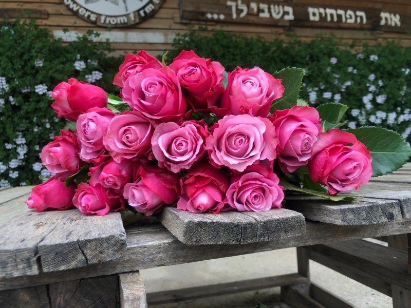 חבילת ורדים ורוד סגלגל 45 ס"מ