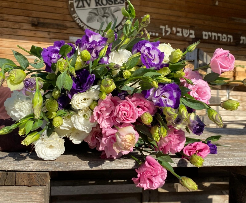 חבילת ליזיאנטוס מיקס