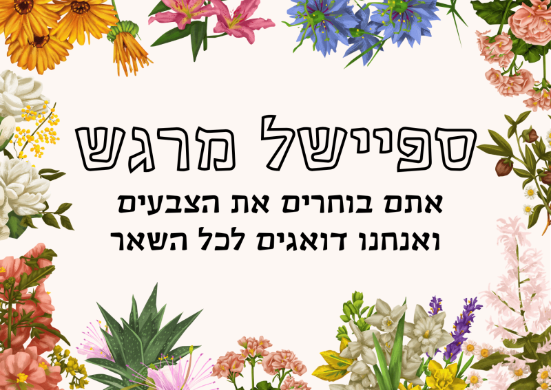 ספיישל מרגש (תמונה להמחשה בלבד)