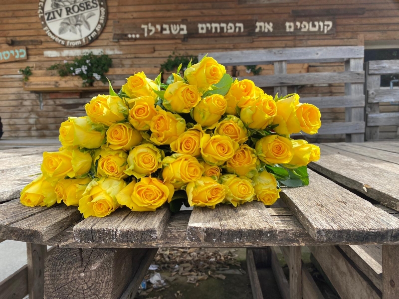 חבילת ורדים צהוב לימון גובה 50 ס"מ