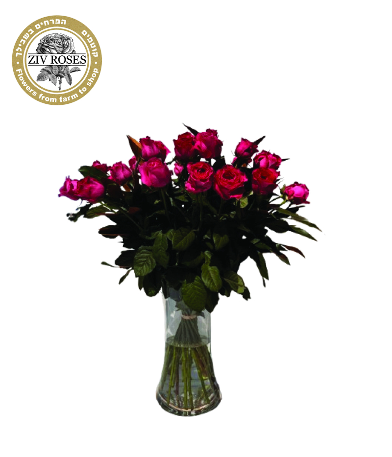 זר ורדים ורוד פוקסיה גבוה