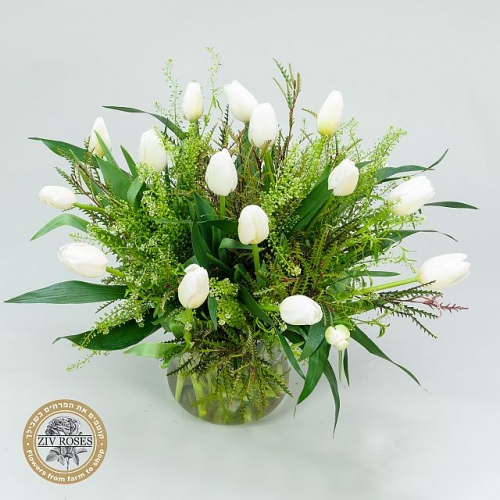 זר טוליפים בלדת החורף